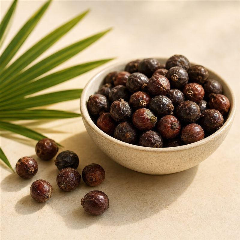 Saw palmetto berries in a bowl with a palm leaf